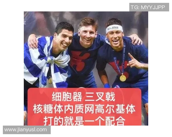 足球明星乘坐出租车的奇妙旅程与背后的故事揭秘